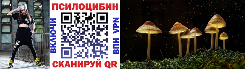 Псилоцибиновые грибы мицелий MEGA как войти Красково